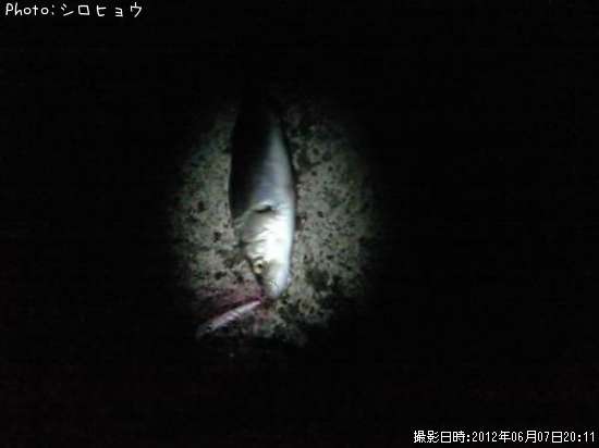 �����Х�