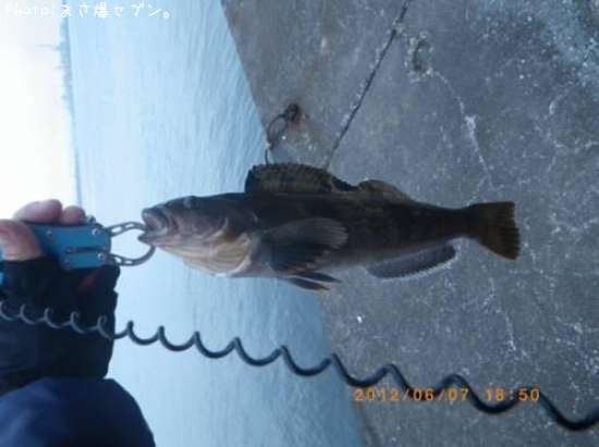 �����ʥ�