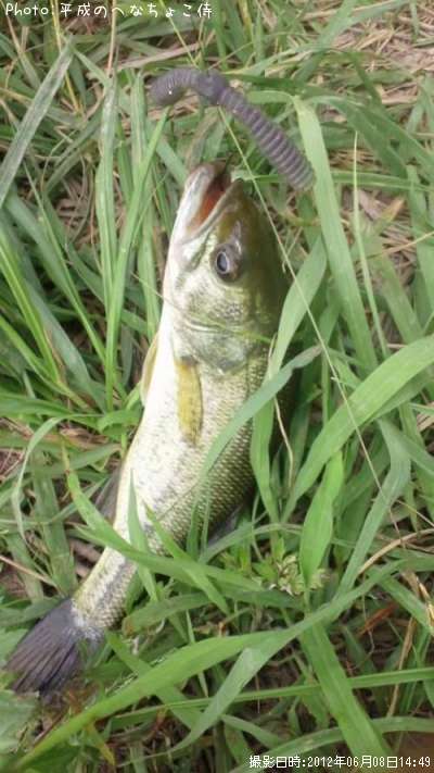 �֥�å��Х�