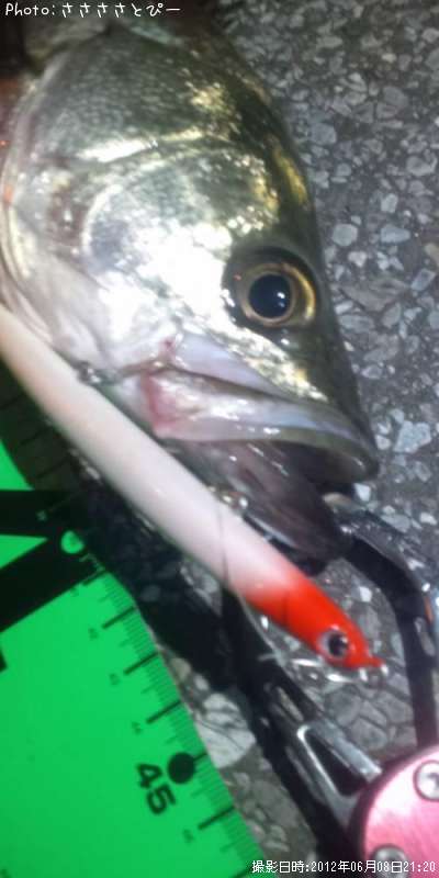 �����Х�