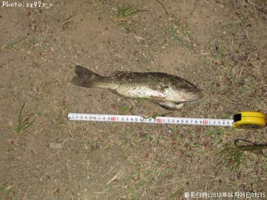 �֥�å��Х�