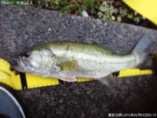 �֥�å��Х�