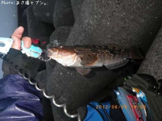 �����ʥ�