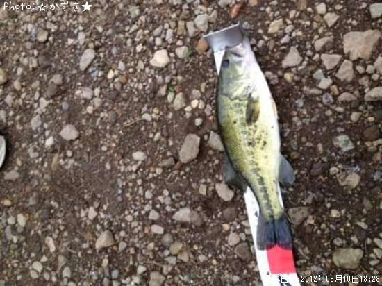 �֥�å��Х�