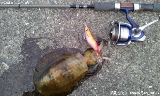 �����ꥤ��