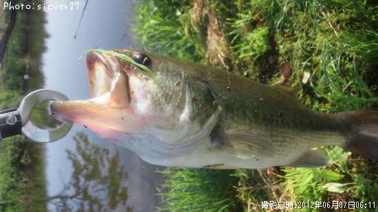 �֥�å��Х�