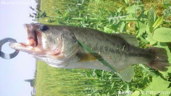 �֥�å��Х�