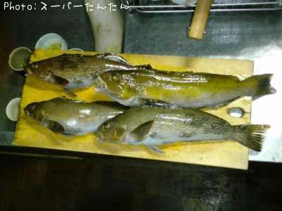 �����ʥ�