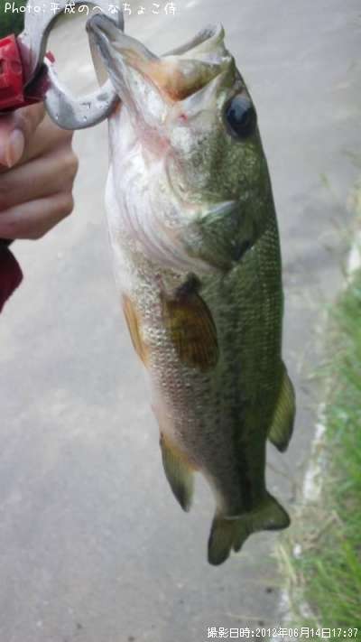 �֥�å��Х�