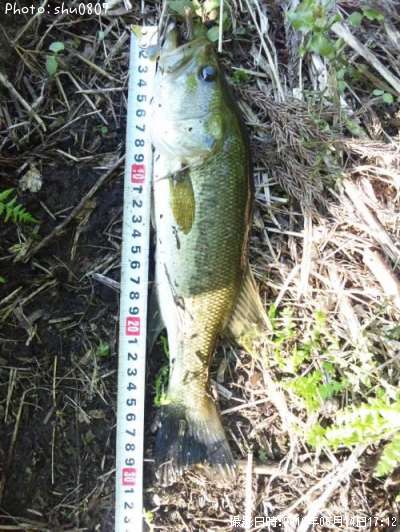 �֥�å��Х�