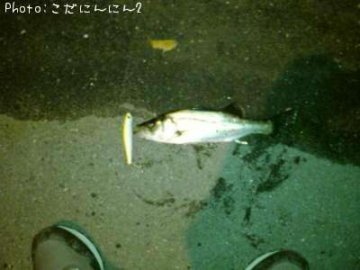 �����Х�