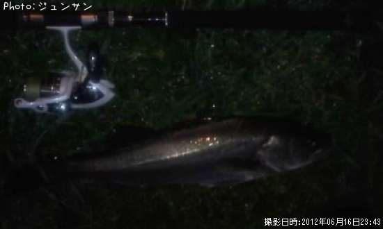 �����Х�