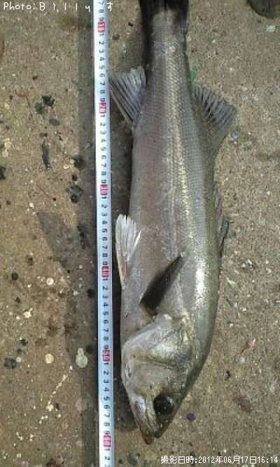 �����Х�