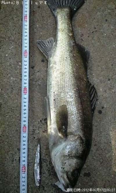 �����Х�