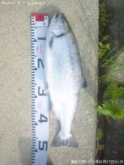 ������ޥ�