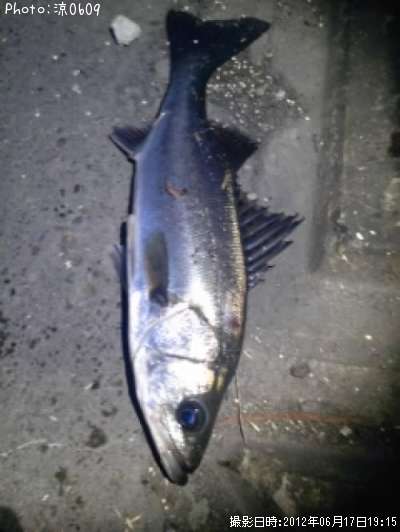 �����Х�