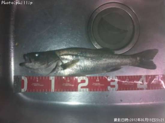 �����Х�