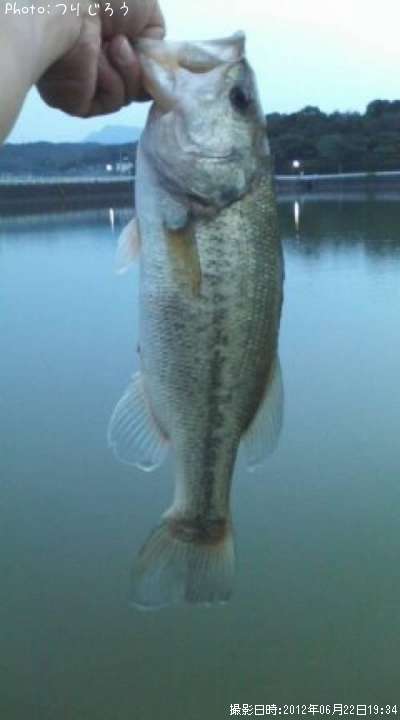 �֥�å��Х�