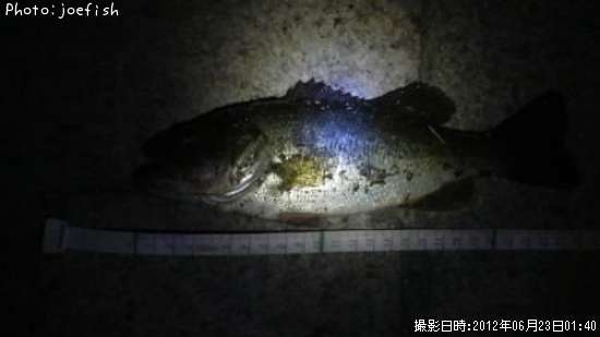 �֥�å��Х�