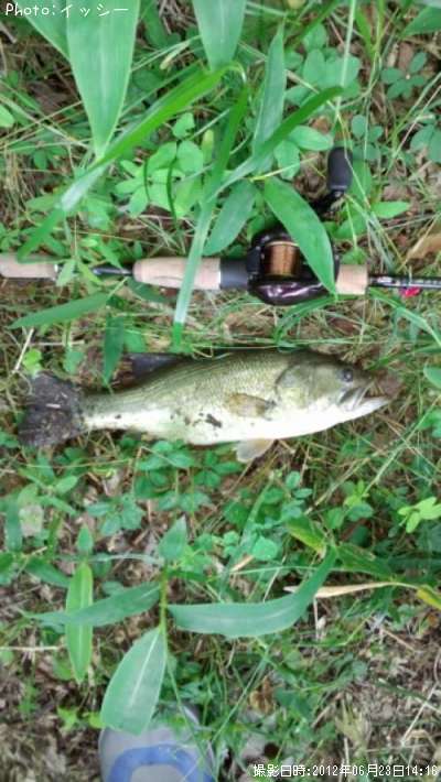 �֥�å��Х�