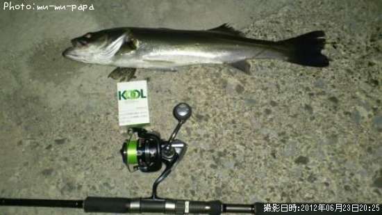 �����Х�