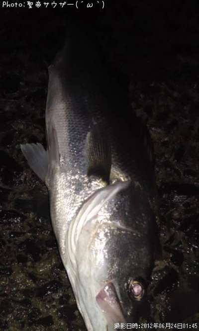 �����Х�