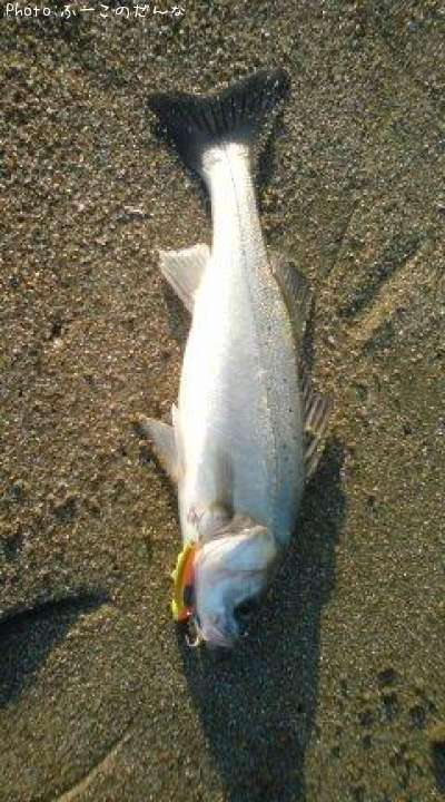 �����Х�