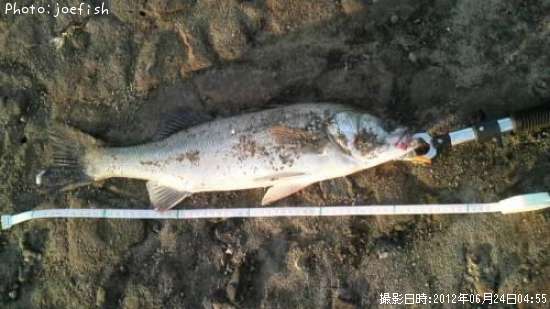 �����Х�