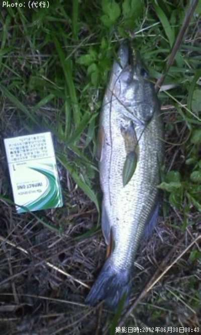 �֥�å��Х�