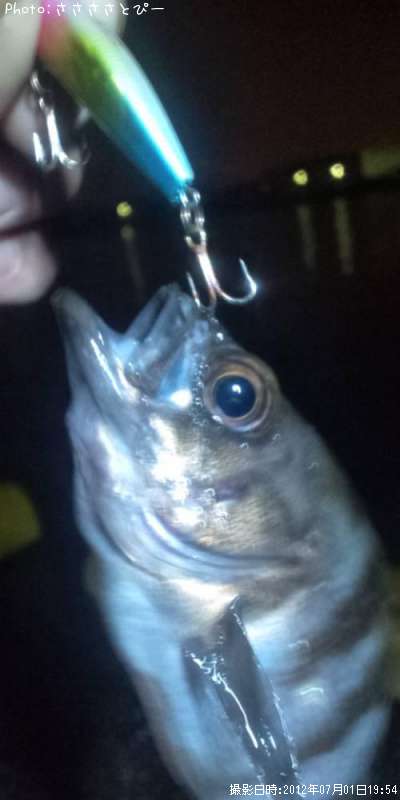 ���ꥢ��Х�