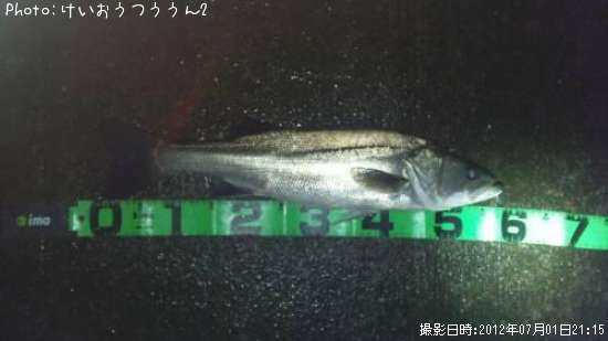 �����Х�