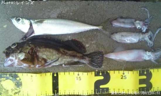 �������������������Υ��������ʥ������