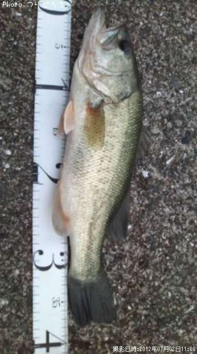 �֥�å��Х�