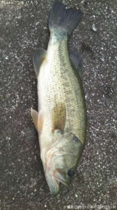 �֥�å��Х�