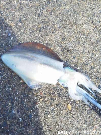 �����ꥤ��