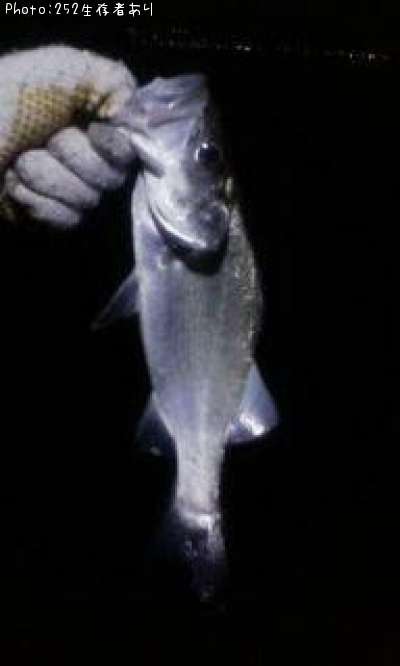 �ҥ饹����