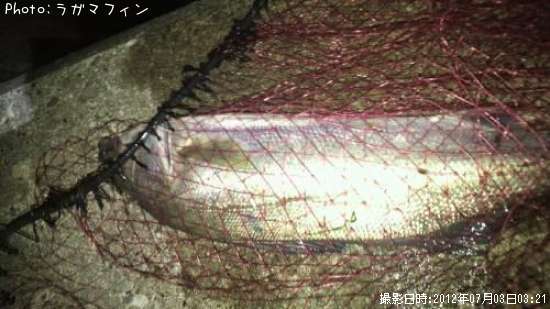 �����Х�