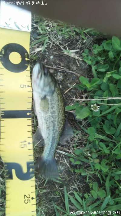 �֥�å��Х�