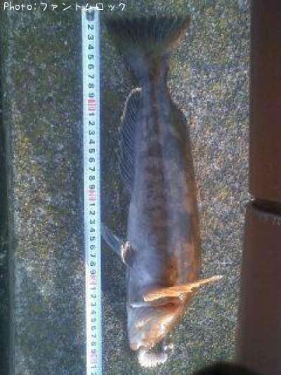 �����ʥ�