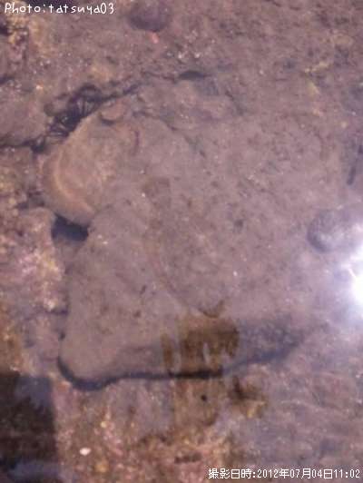 �ҥ�ᡩ���쥤��