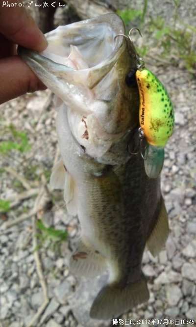 �֥�å��Х�