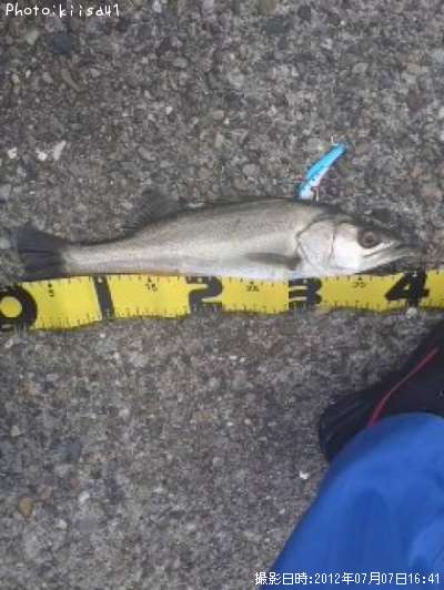 �����Х�