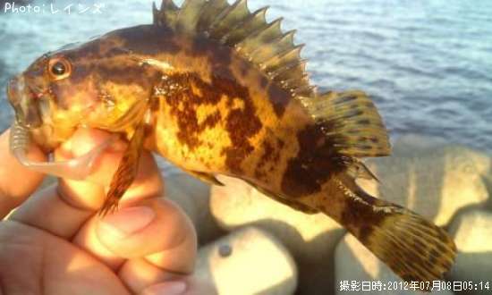 �����Υ���Х�