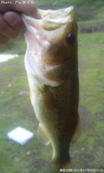 �֥�å��Х�