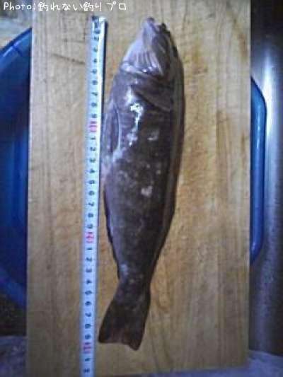 �����ʥ�