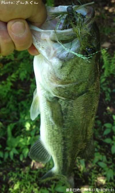 �֥�å��Х�