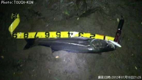 �����Х�