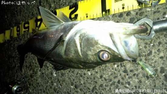 �����Х�