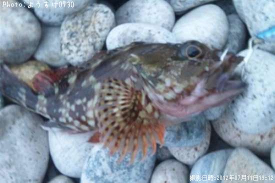 �����ϥ�