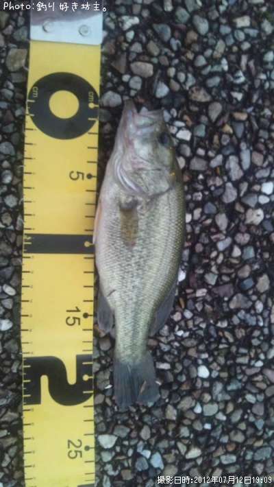 �֥�å��Х�